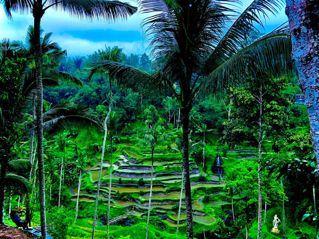 Rice terraces at Tegallangan Ubud Bali by The Velvet Atlas