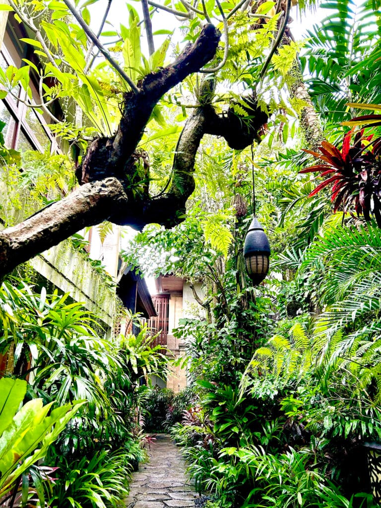 Adiwana Monkey Forest hotel garden